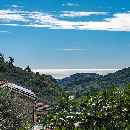Agriturismo La Rocca Сан-Бартоломео-аль-Маре Екстер'єр фото