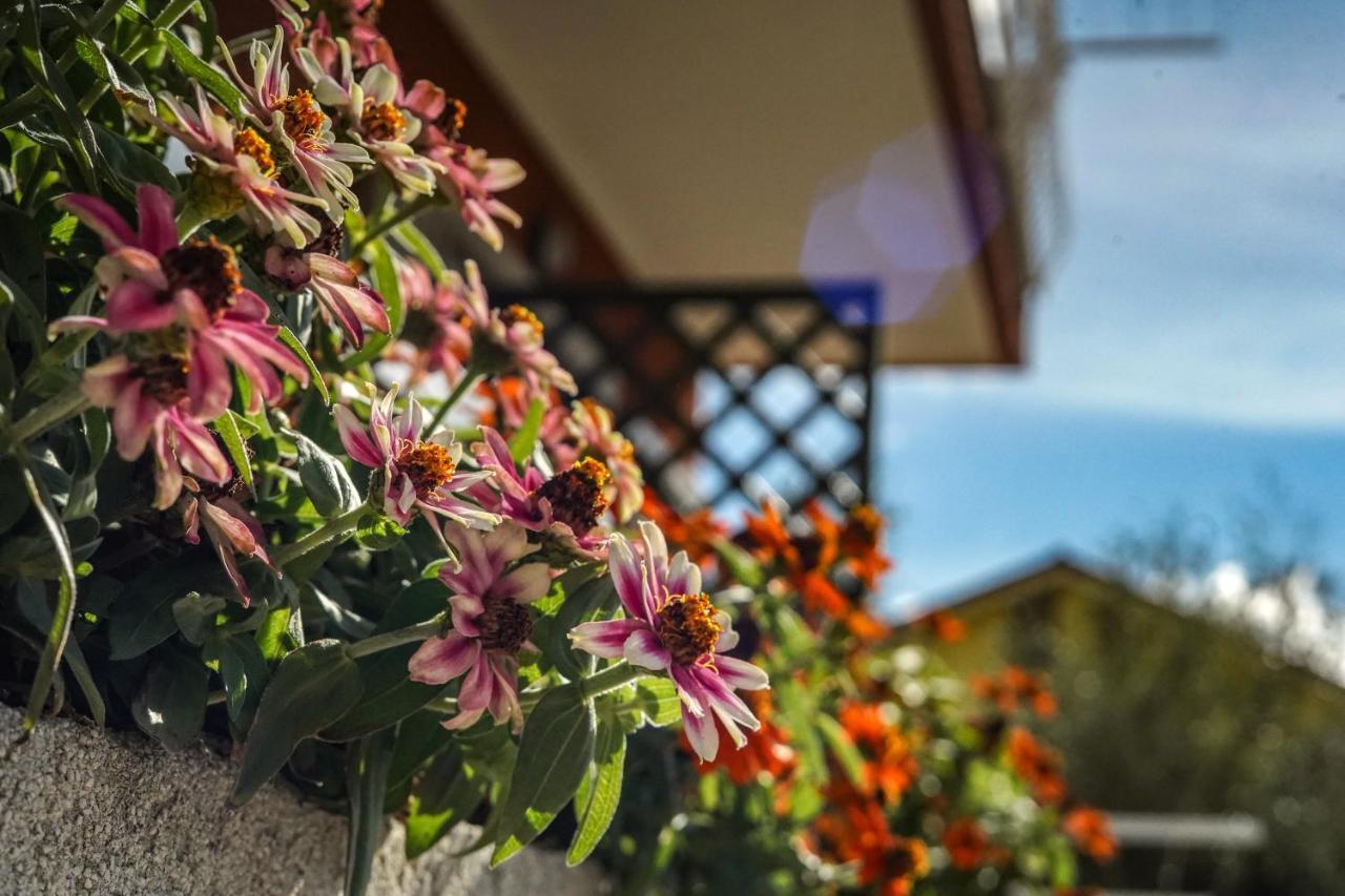 Agriturismo La Rocca Сан-Бартоломео-аль-Маре Екстер'єр фото