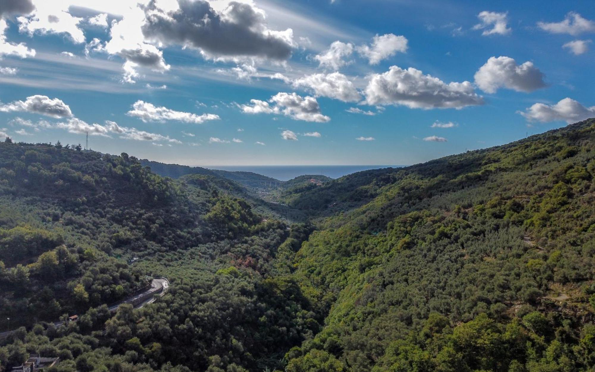 Agriturismo La Rocca Сан-Бартоломео-аль-Маре Екстер'єр фото